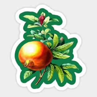 Pomegranate Autumn Botanical Vector Art Sticker